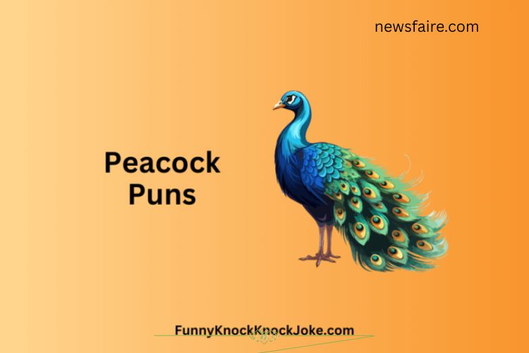 Peacock